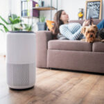 Air Buddy Air Purifier
