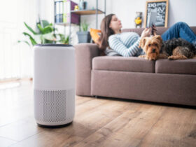 Air Buddy Air Purifier