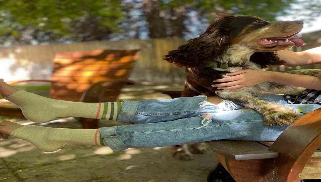 alternative to compression socks