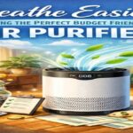 budget friendly air purifier