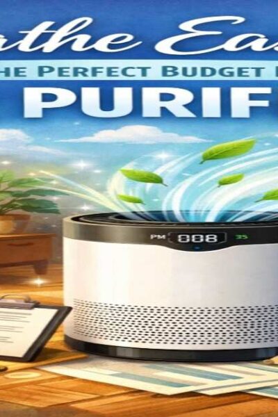 budget friendly air purifier